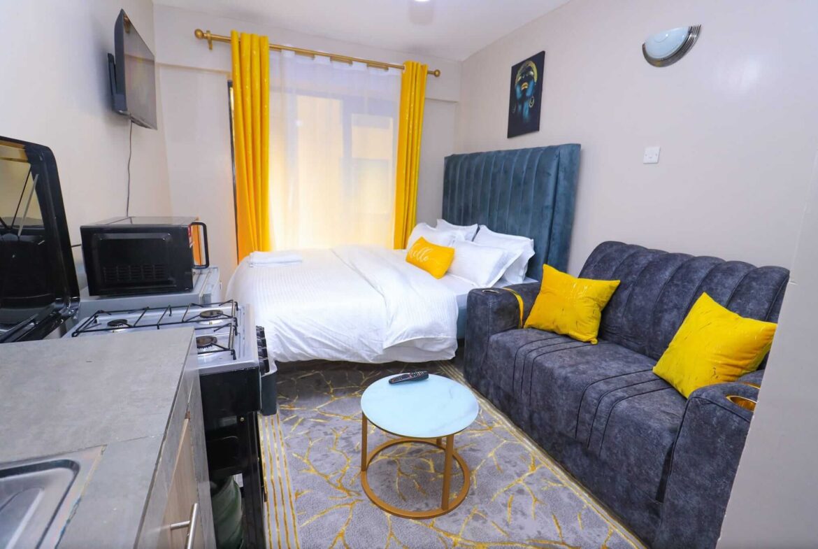 affordable bedsitter Airbnb in Embakasi