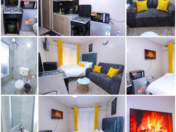 affordable bedsitter Airbnb in Embakasi